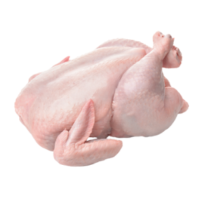 Whole raw chicken, uncooked and ready for preservation,
